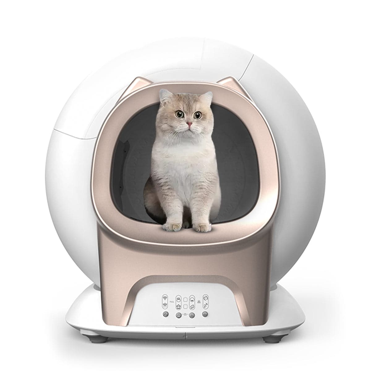 Zelfreinigende kattenbak XXL - Volautomatisch - Dekattenbakspecialist